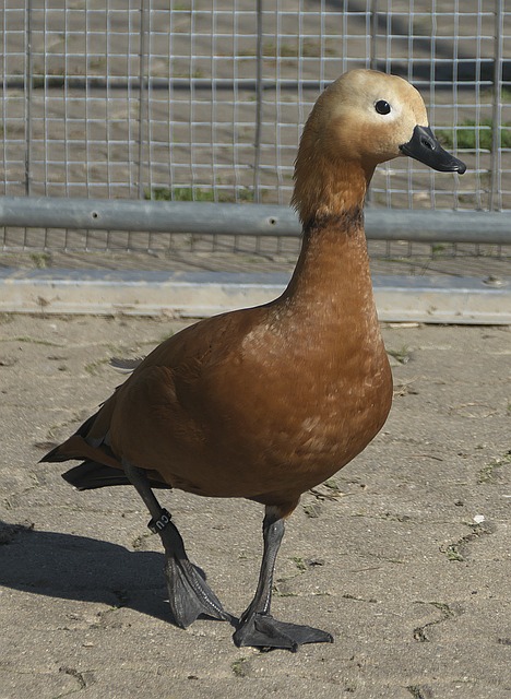 贵州