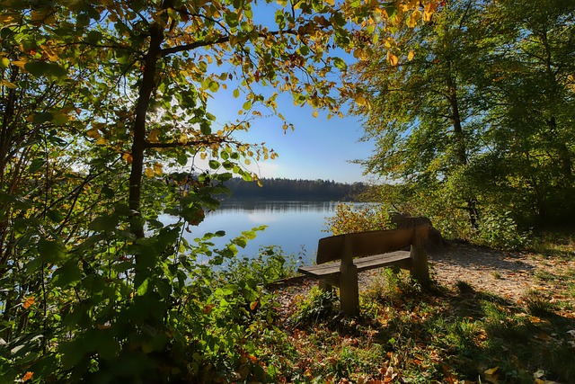 更是梅西指 更是梅西指