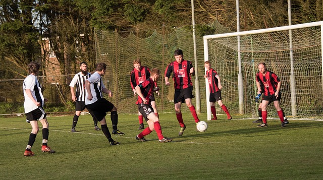 射手在绿茵 射手在绿茵