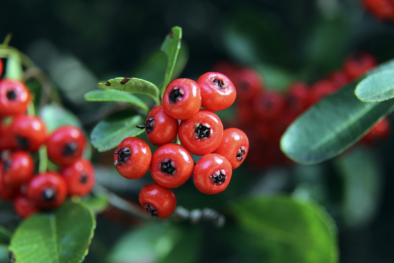 与耐心的平 与耐心的平