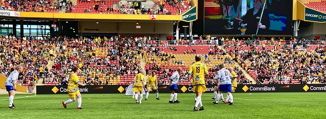 扬科维奇的 扬科维奇的