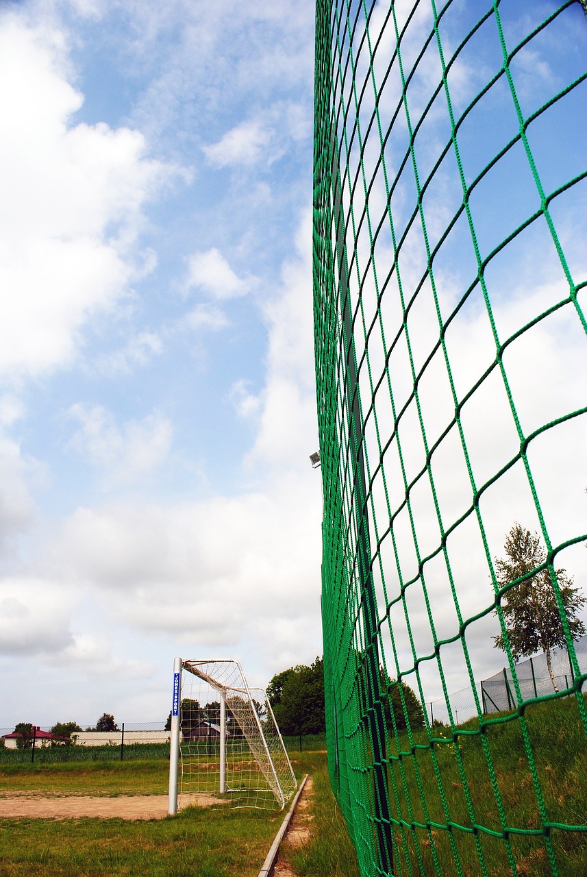 战术安排 战术安排