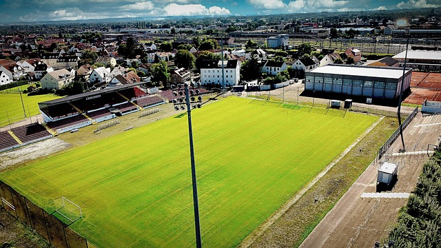 中场球员 中场球员