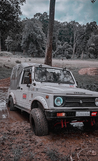 中保持稳定 中保持稳定